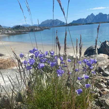 Vestfjorden Panorama Lofoten Nyaraló