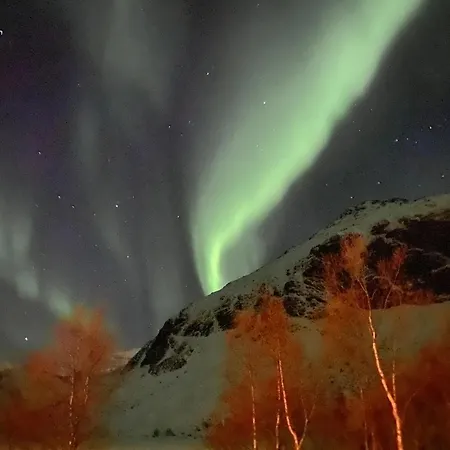 Feriehus Vestfjorden Panorama Lofoten Valberg