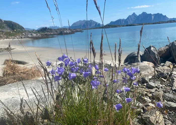 Vestfjorden Panorama Lofoten Сasa de vacaciones